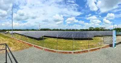 Italcol invierte $19.000 millones en sistema solar para su planta de Palmira