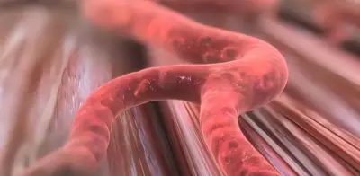 Japón aprueba terapias pioneras con células iPS para corazón y Parkinson