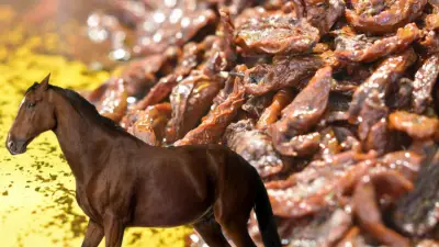 Microchip en comida revela que servían carne de yegua de carreras en comedor comunitario