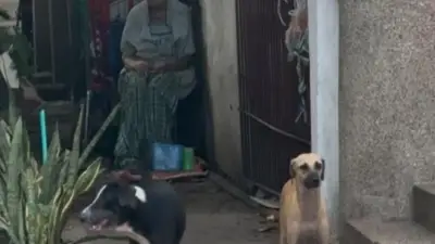 Mujer herida tras ataque de perros amarrados en casa del norte de Barranquilla