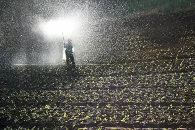 ONU crea grupo de trabajo para asegurar paso de fertilizantes por el estrecho de Ormuz
