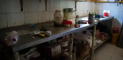 Panadería en Soledad clausurada por presencia de gato y cucarachas en área de producción