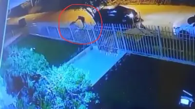 Petro exige investigación por agresión política a joven en Montería