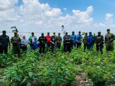 Policía Nacional siembra 200 mil árboles en Bolívar con enfoque étnico y comunitario