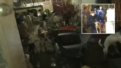 Rescatan 101 animales en condiciones críticas de casa con dos abuelas en Barranquilla