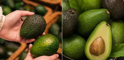 Técnicas expertas para conservar aguacates por más tiempo sin perder calidad