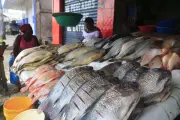 Alza en precios del pescado para Semana Santa 2026 preocupa a consumidores colombianos