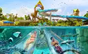 Aquatica Orlando: El parque acuático con agua climatizada que conquista a viajeros colombianos