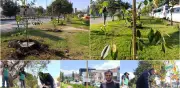 Barrio Olarte en Bosa recibe 119 árboles del Jardín Botánico para combatir contaminación