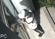 Cali: Comunidad de El Ingenio denuncia aumento de robos e invasión en parque principal