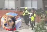 Capturan a hombre que lanzó perro desde piso 25 en Kennedy, Bogotá