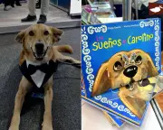 Carolino, el perro callejero que se convirtió en símbolo de la comunidad universitaria de la BUAP