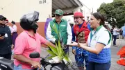 Cdmb y Vanguardia entregan 35.000 plántulas en Bucaramanga para reemplazar palma de cera