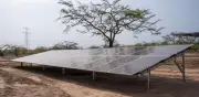 Colombia multiplica por 38 sus minigranjas solares en tres años: de 4 a 151 proyectos activos