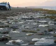 Comunidades costeras de Veracruz enfrentan grave derrame de crudo en playas mexicanas