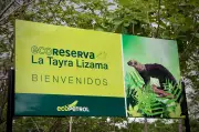 De desastre petrolero a ecoreserva: La transformación del área afectada por el afloramiento de Lisama 158
