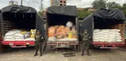 Doble golpe en Nariño: Policía incauta 87 toneladas de alimentos ilegales y 107 kilos de cocaína
