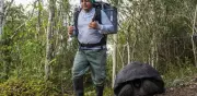 Ecuador libera 158 tortugas gigantes en Galápagos para restaurar ecosistema extinto hace 150 años