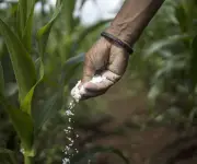 EE.UU. busca fertilizantes en Venezuela y Marruecos ante crisis por guerra con Irán