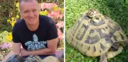 El hombre de las 400 tortugas: la vida de un jubilado italiano que creó un santuario en su jardín
