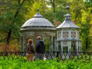 El 'Lemonading' en jardinería: transformar desafíos ambientales en espacios resilientes