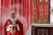 El Papa León XIV celebra la Misa de Domingo de Ramos en el Vaticano