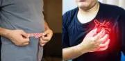 Estudio revela que la grasa abdominal es mejor predictor de infarto que el IMC