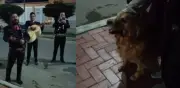 Familia despide a su perrita Cattaleya con serenata de mariachis antes de la eutanasia