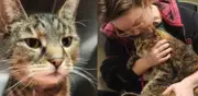 Familia recupera a su gata tras 5 años desaparecida gracias a microchip
