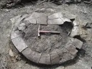 Fósiles de tortugas gigantes hallados en La Guajira y dinosaurio en Bogotá