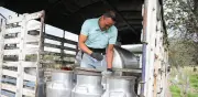 Gobierno articula medidas para comercializar leche tras salida de Grupo Gloria en Colombia