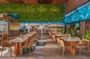 Hyatt Regency Cartagena reabre Amacagua Grill & Lounge con propuesta gastronómica renovada