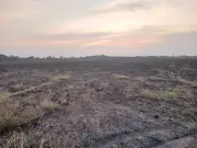 Incendio intencional arrasa 900 hectáreas del Bioparque Wisirare en Casanare