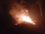 Incendios forestales en Arauca afectan 17.000 hectáreas de área protegida Cinaruco