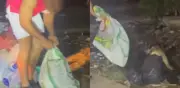 Indignación en Barranquilla por perro abandonado en costal entre basura con fracturas graves