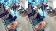 Indignación en Bogotá: Hombre pisa intencionalmente a perrita en cafetería de Chapinero