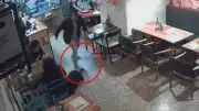 Indignación en Bogotá por hombre que pisó la cola a perrita en restaurante de Chapinero