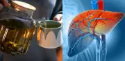 Infusiones herbales y hígado graso: el té que debe evitar si tiene riesgo hepático