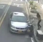 Intolerancia en Bogotá: Conductor intenta arrollar a mujer que defendía a su mascota
