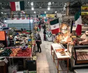 Inversión y T-MEC: Claves para el crecimiento económico de México según la OCDE