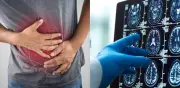 La pérdida de memoria se origina en el intestino: hallazgo científico revolucionario