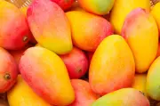 Mango: el fruto que define la identidad y economía de dos capitales en Colombia