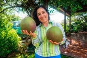 Mangos gigantes de Santander revelan historia de mujer que transformó su vida en el campo