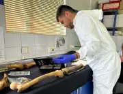 Medicina Legal desmiente a Petro: no hay 27 cadáveres ni bombardeo en frontera con Ecuador