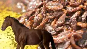 Microchip en comida revela que servían carne de yegua de carreras en comedor comunitario