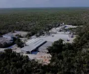 Minera Fresnillo reporta aumento del 81% en ganancias y establece dividendo histórico