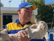 Mona, la perrita que se convirtió en el alma de una estación de servicio en Soledad