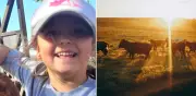 Niña de 7 años sorprende en remates ganaderos de Córdoba con su inteligencia y empatía