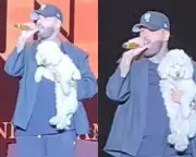 Nicky Jam muestra su lado más humano al cuidar a perrita que subió a su escenario en Chile
