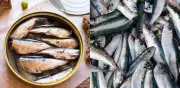Nutricionistas revelan: la sardina es el pescado más nutritivo y económico del mercado